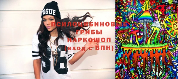 индика Баксан