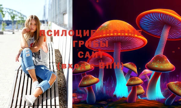 spice Балабаново