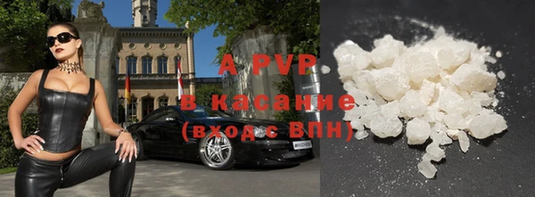 индика Баксан